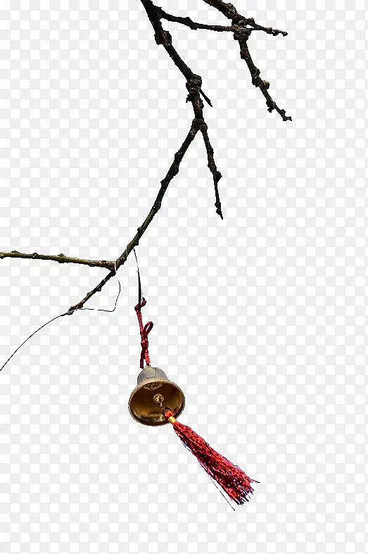 ��֦�ϵ�����-������