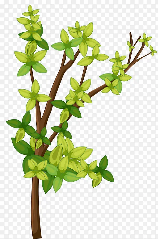 ��Ҷ��֦-������