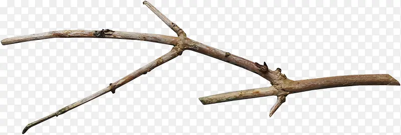 ��ɫƯ����֦-������