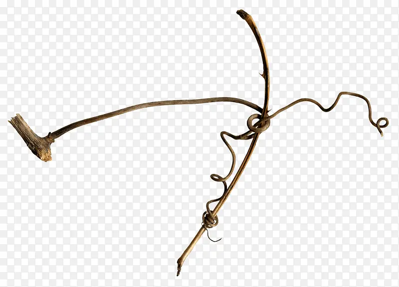 ��֦-������