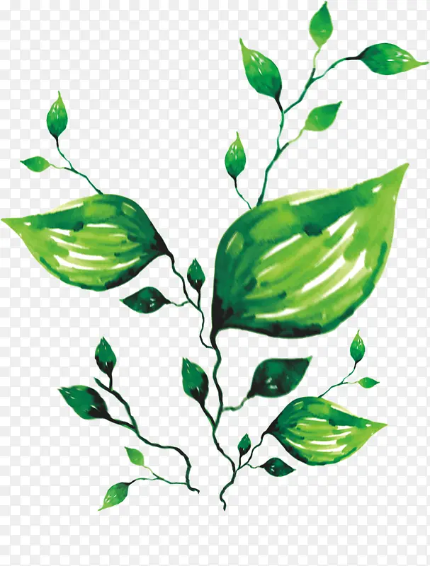 ��֦-������