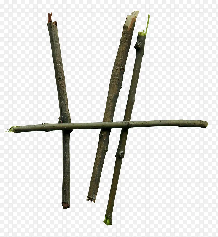 ��֦-������