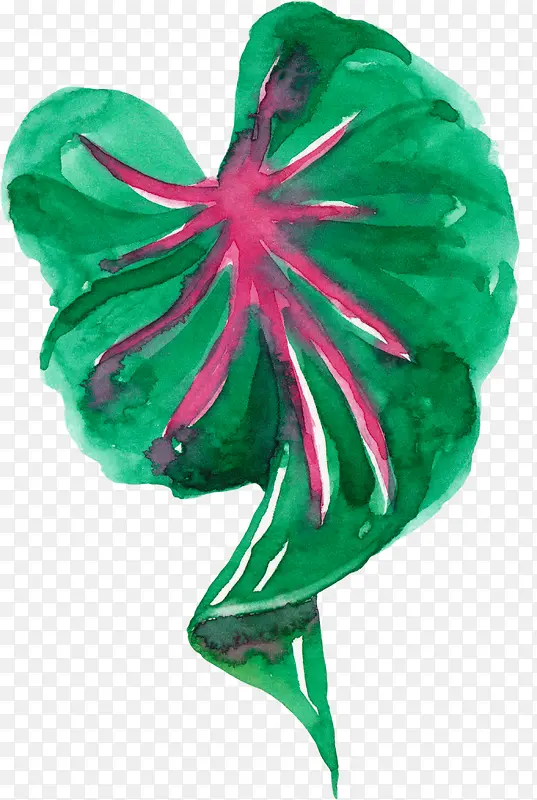 ��Ҷ-������