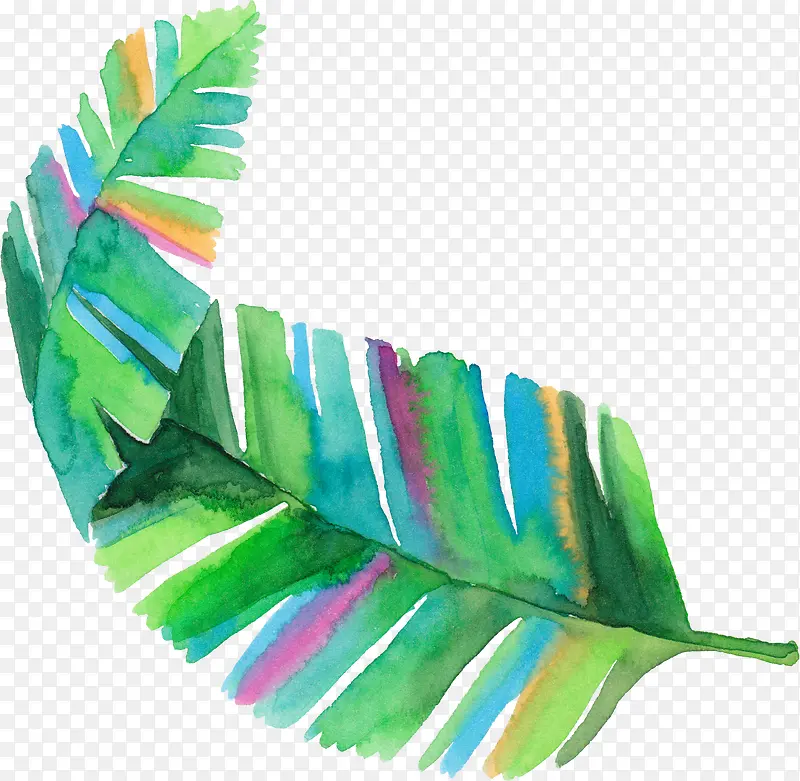 ��Ҷ-������