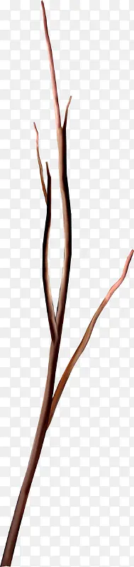 Ư����֦-������