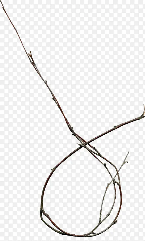 ��ɫ��֦-������