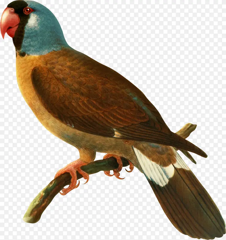 ��-������