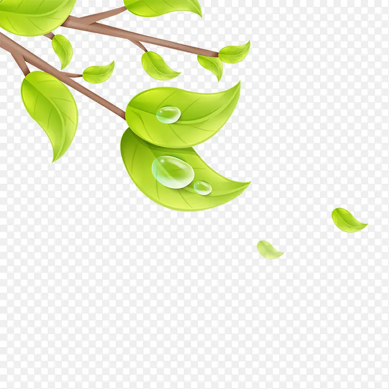 ��֦-������