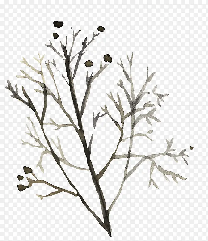 ��֦-������