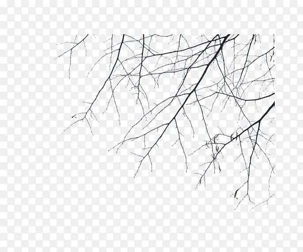 ��ɫ��֦-������