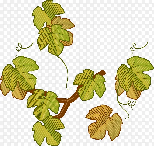 ��ͨ�ֻ���֦����-������