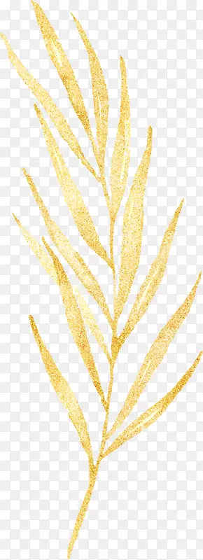 ��ɫҶ��-������