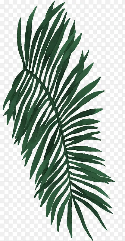 ��Ҷ-������