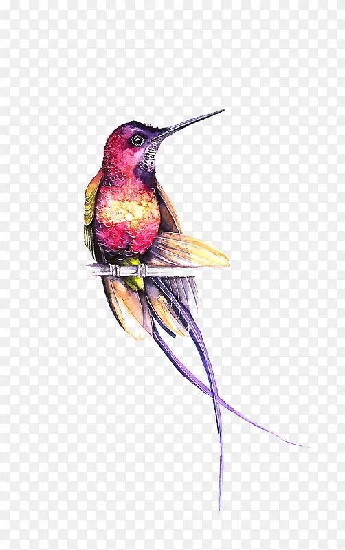 ��֦�ϵķ���-������