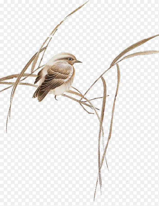 ��֦�ϵ�С��-������