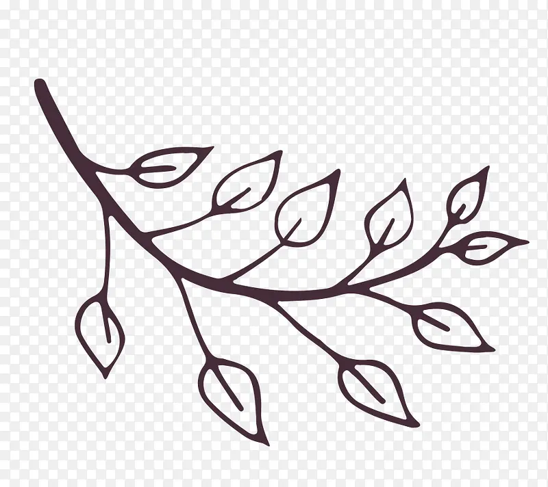 ��֦-������