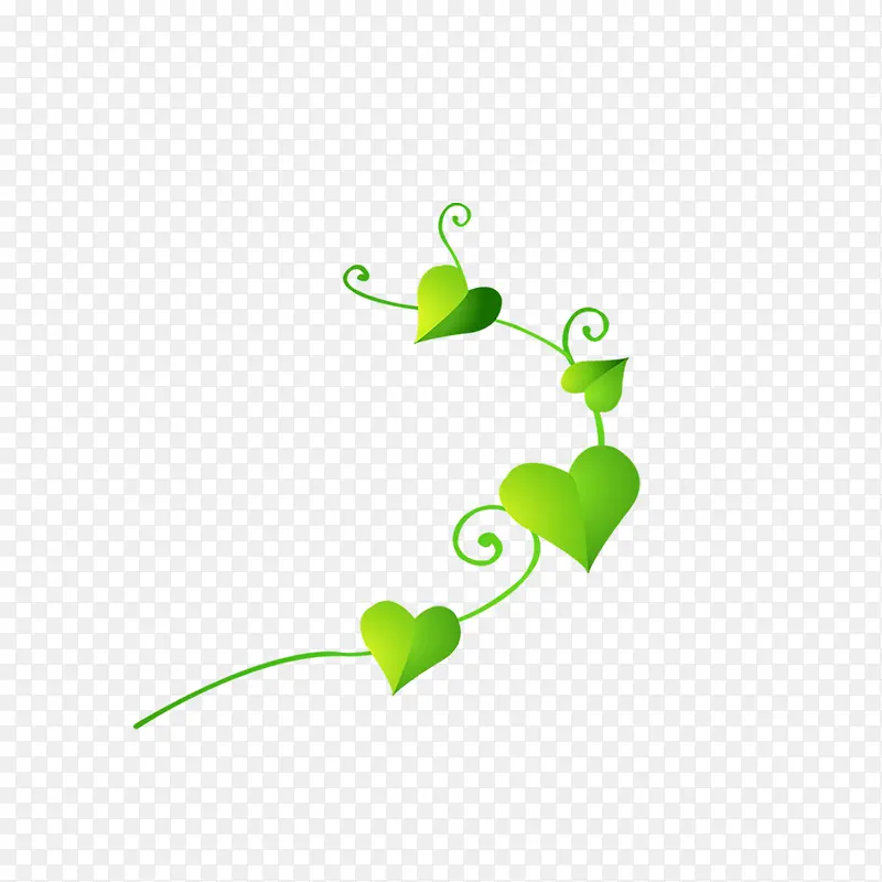 ��ͨ��Ҷ-������