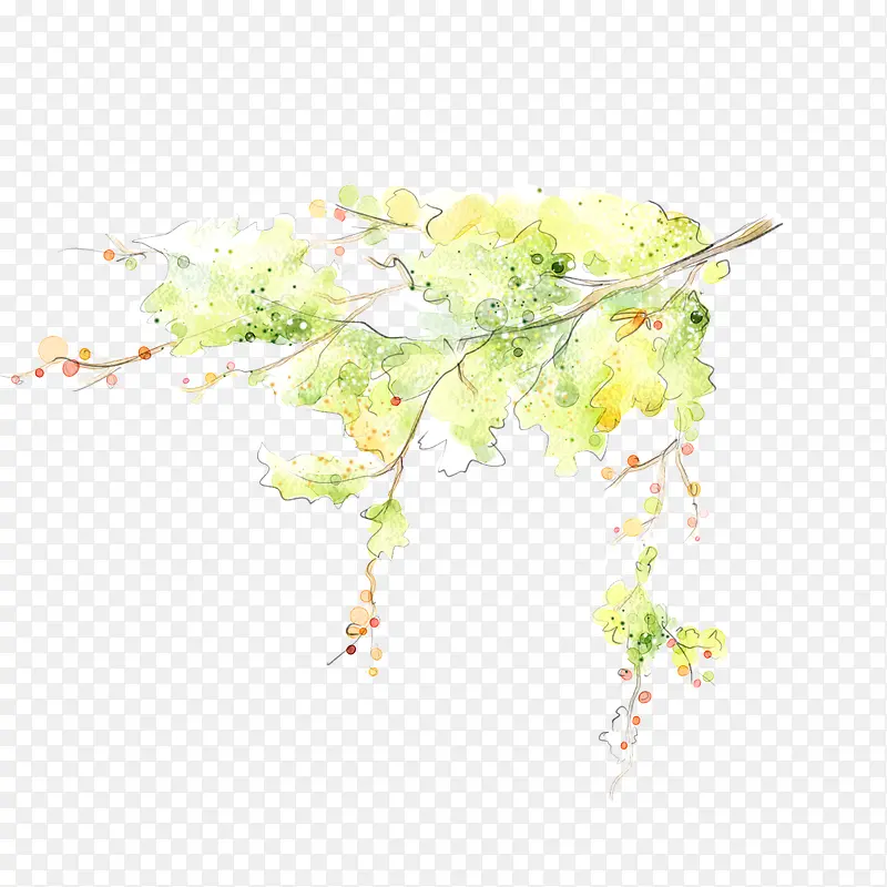 ˮ����֦-������