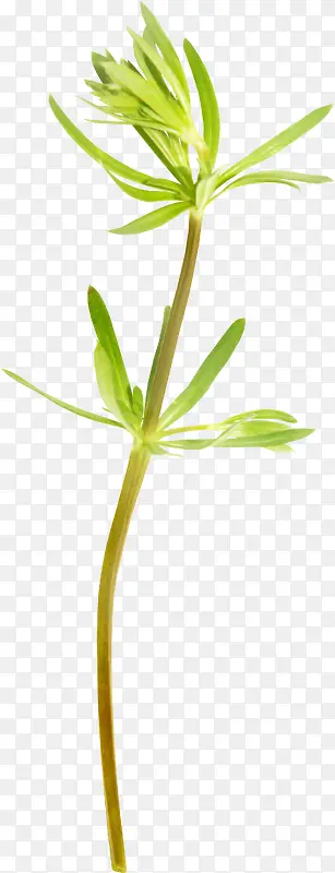 ��Ѿ-������