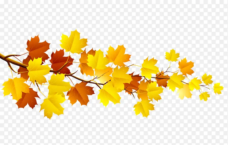 �ֻ��Ҷ-������