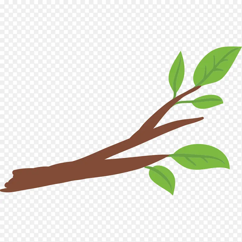 ��ͨ��֦��Ҷ-������