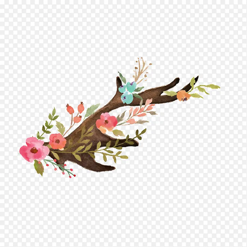 ˮ����֦-������