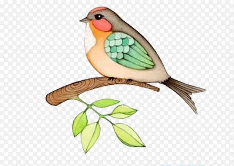 ��ͨС��-������