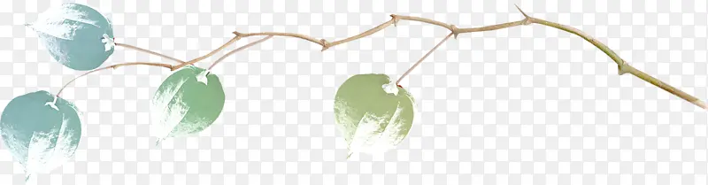 ��ͨ�ֻ���֦����-������