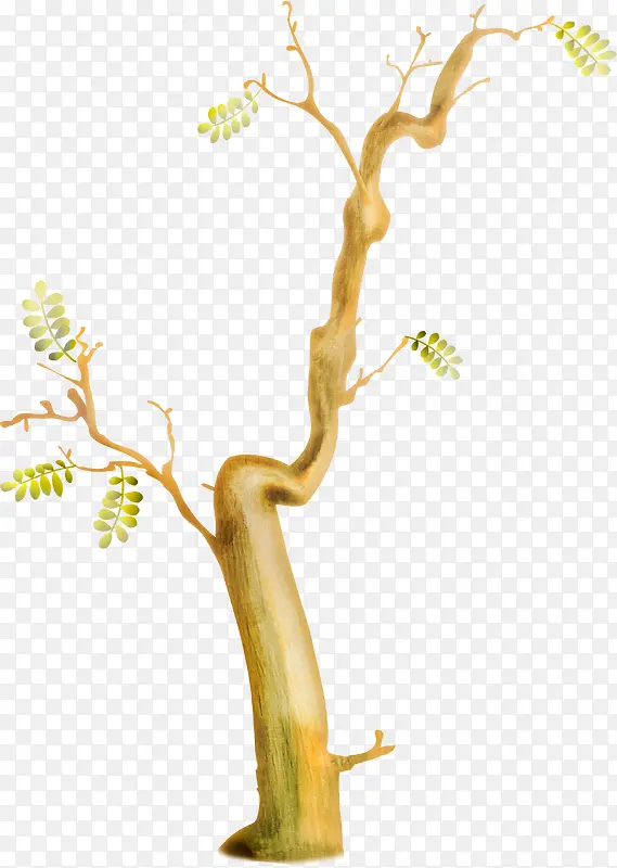 ���쿨ͨ�ֻ���֦-������