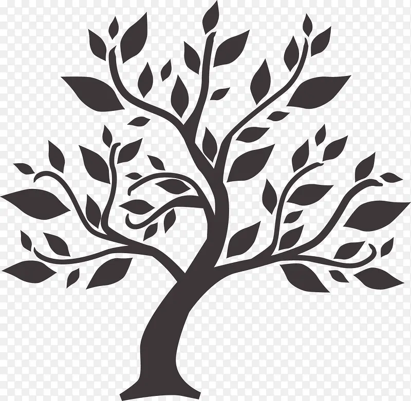 ��ͨ��֦-������