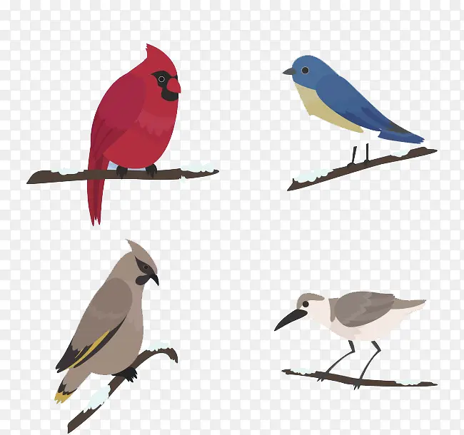 ��֦���-������