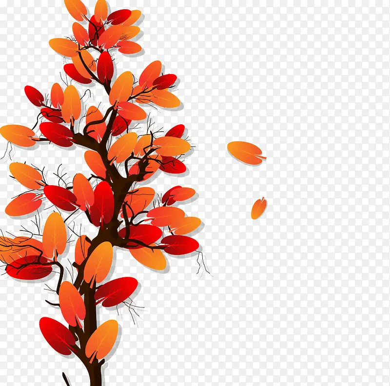 ��ͨװ����֦����-������