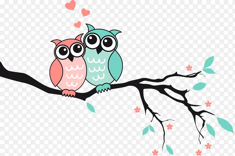 ��֦�ϵĿ�ͨèͷӥ-������