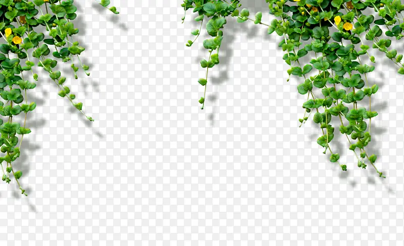 ��Ҷ-������