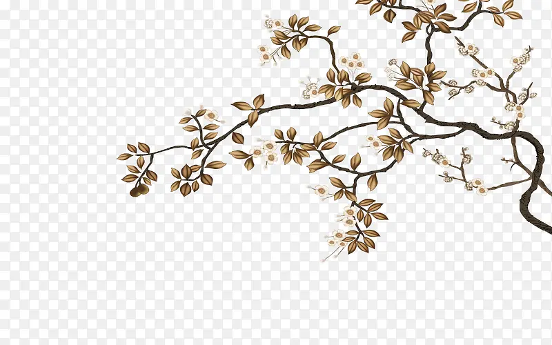 ������֦-������