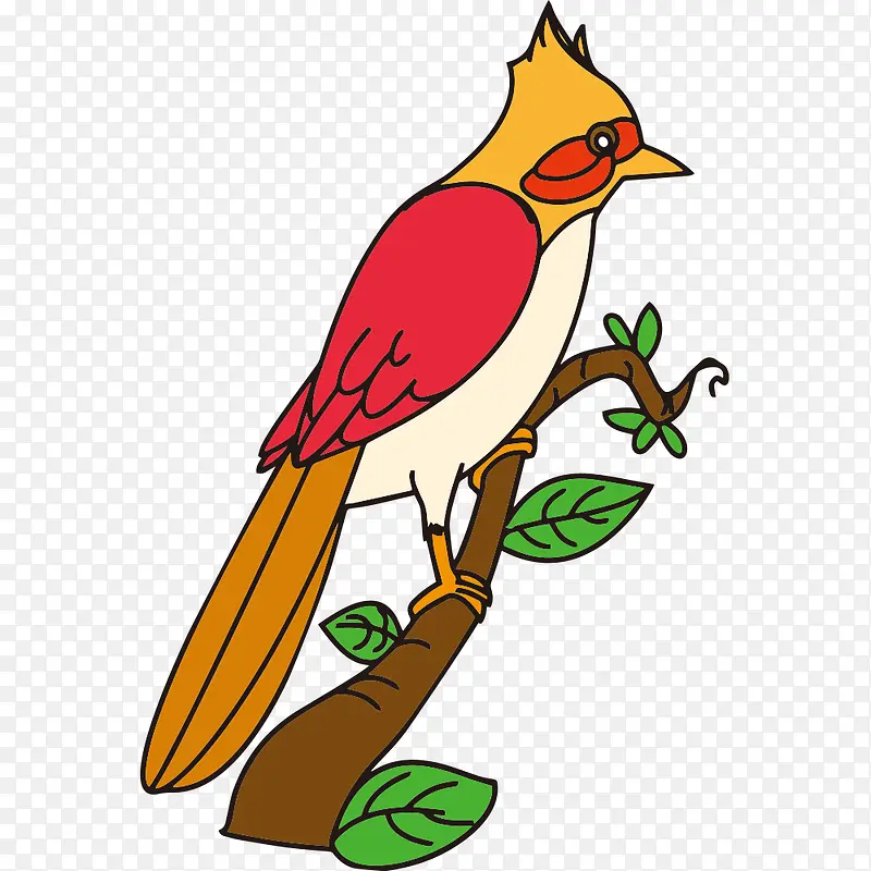 ��֦�ϵ�ʸ��С��-������