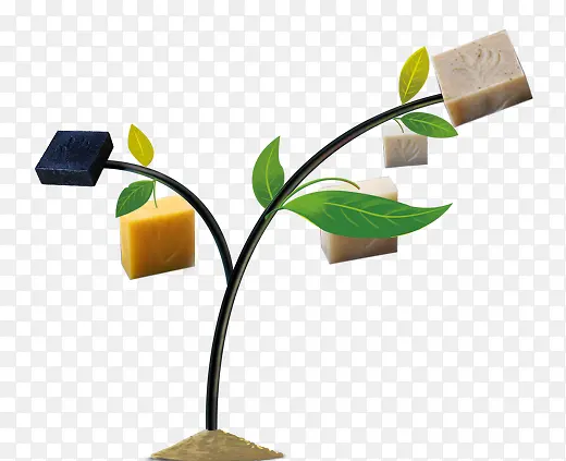 ��֦�ϵķ�������-������