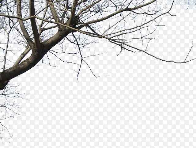 ��������ز�-������