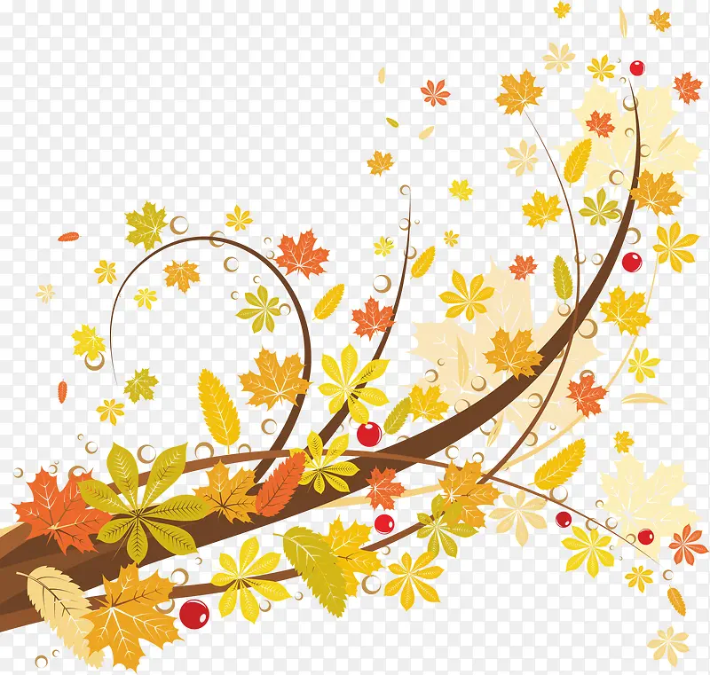 Ҷ��-������