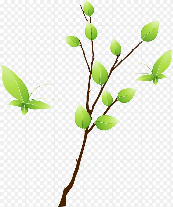 ��ͨ������֦-������