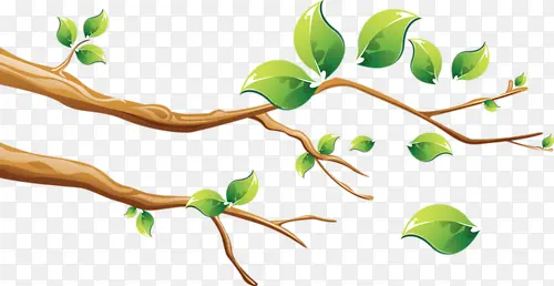 ��ͨ��֦-������