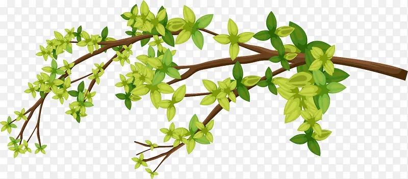 ��֦�ز�-������