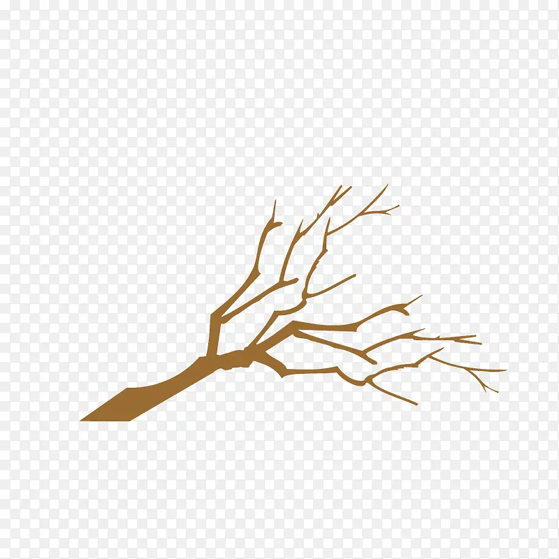 ���������֦-������