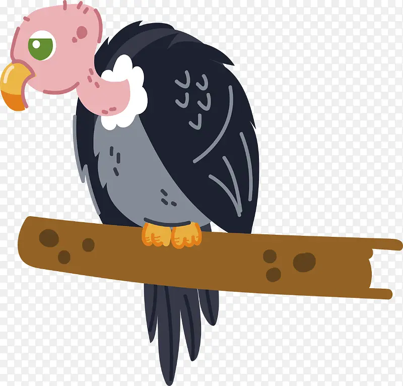 ��ͨ��֦�ϵ�ͺ��-������