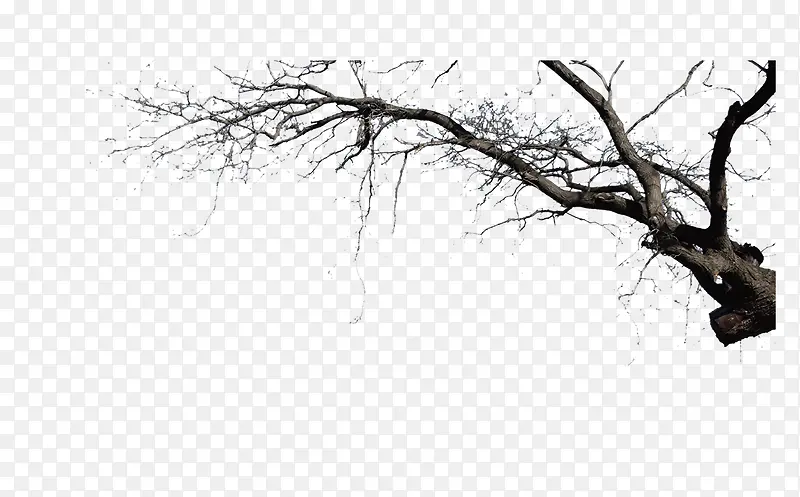 ��-������