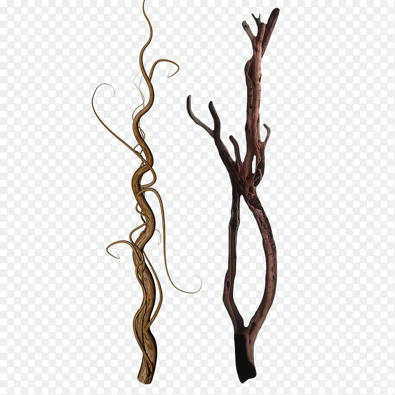 ��֦-������