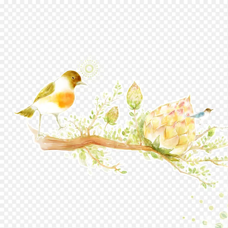 ˮ����֦-������