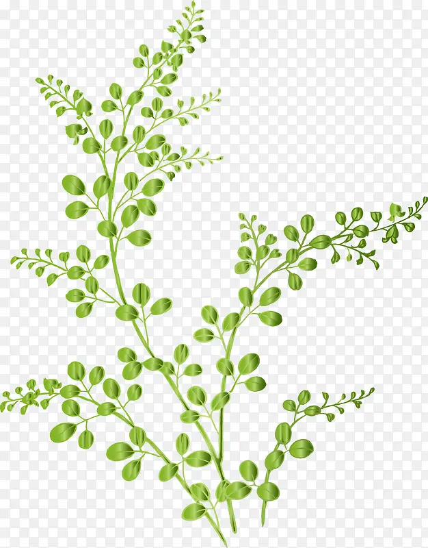 ��֦-������