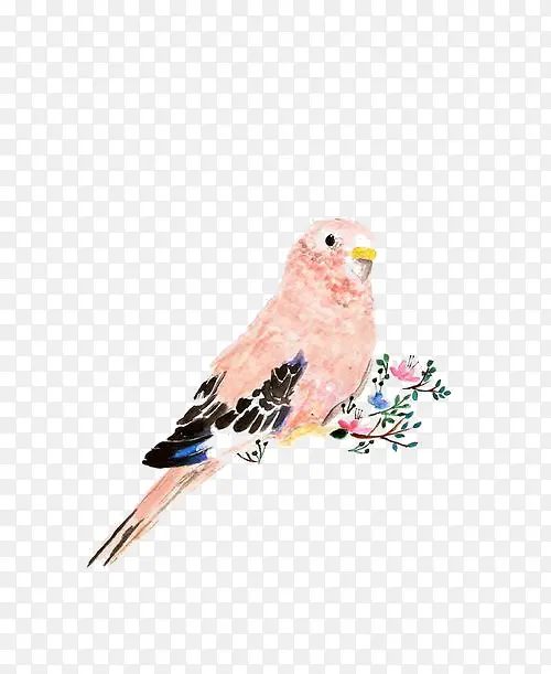 ˮ��С��-������