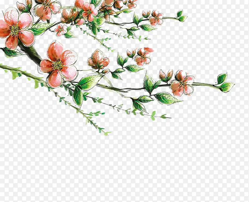 �ֻ��һ���֦����Ҷ��-������